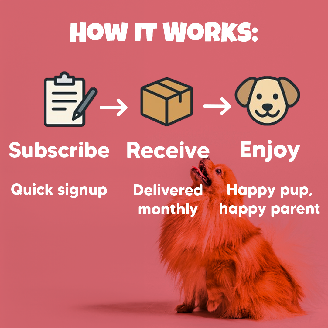 Classy Pet Club – Monthly Dog Subscription Box - Classy Pet Life