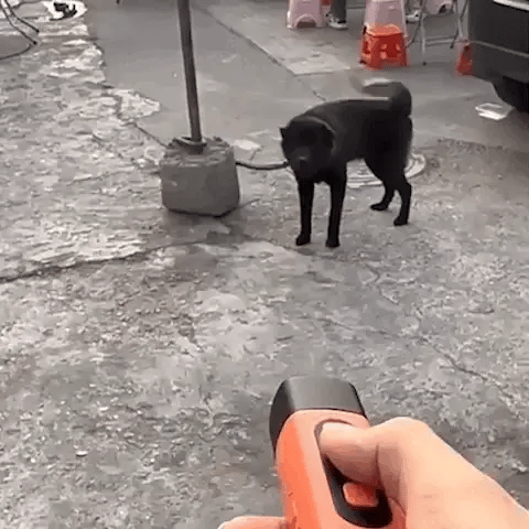 Ultrasonic Anti-Bark Device -FREE SHIPPING