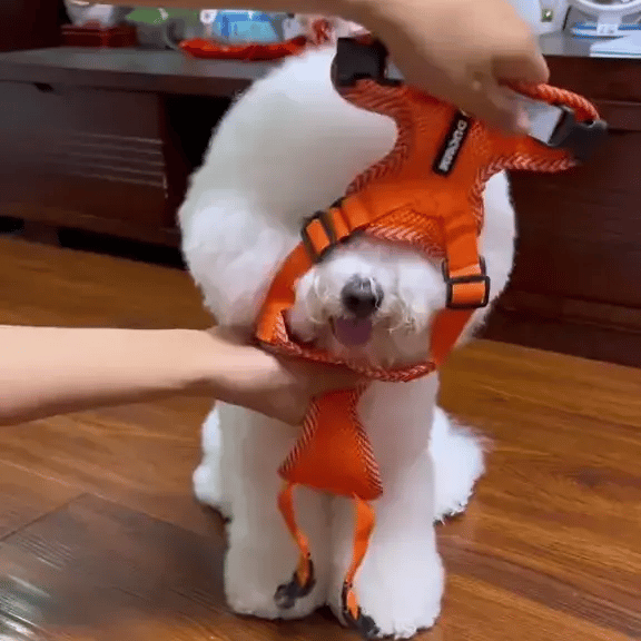 No Pull Reflective & Breathable Dog Harness + Leash - Classy Pet Life