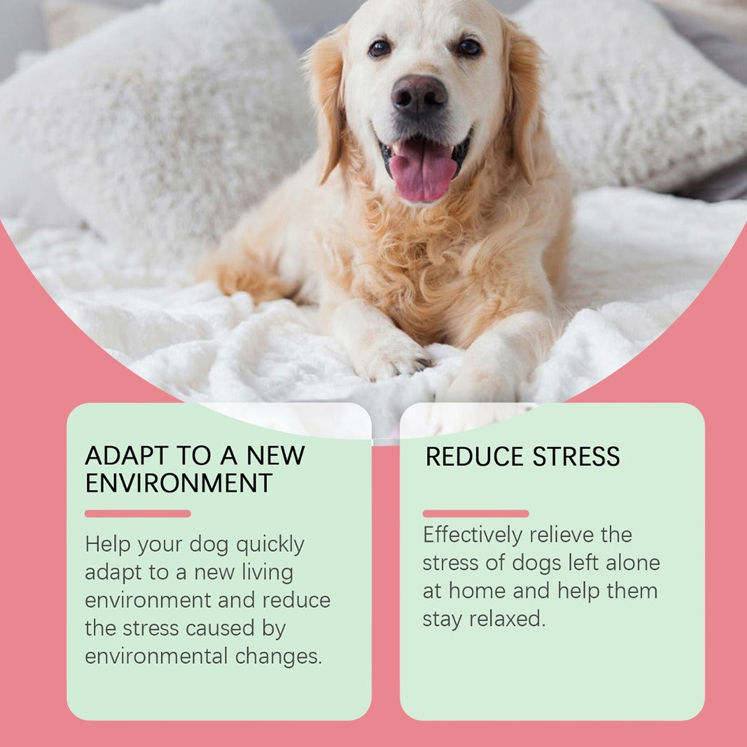 CalmEase™ Pet Calming Diffuser Kit – FREE Today Only