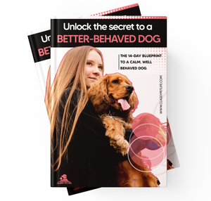 Fix Dog Behavior FAST: Stop Pulling, Jumping & Ignoring Commands | 14-Day Ebook ($8.95) - Classy Pet Life