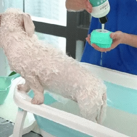 Dog Shampoo Dispenser Brush - FREE TODAY ONLY - Classy Pet Life