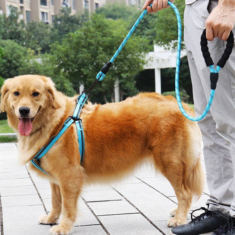 Strong Nylon Reflective Dog Leash - 50% + FREE SHIPPING - Classy Pet Life