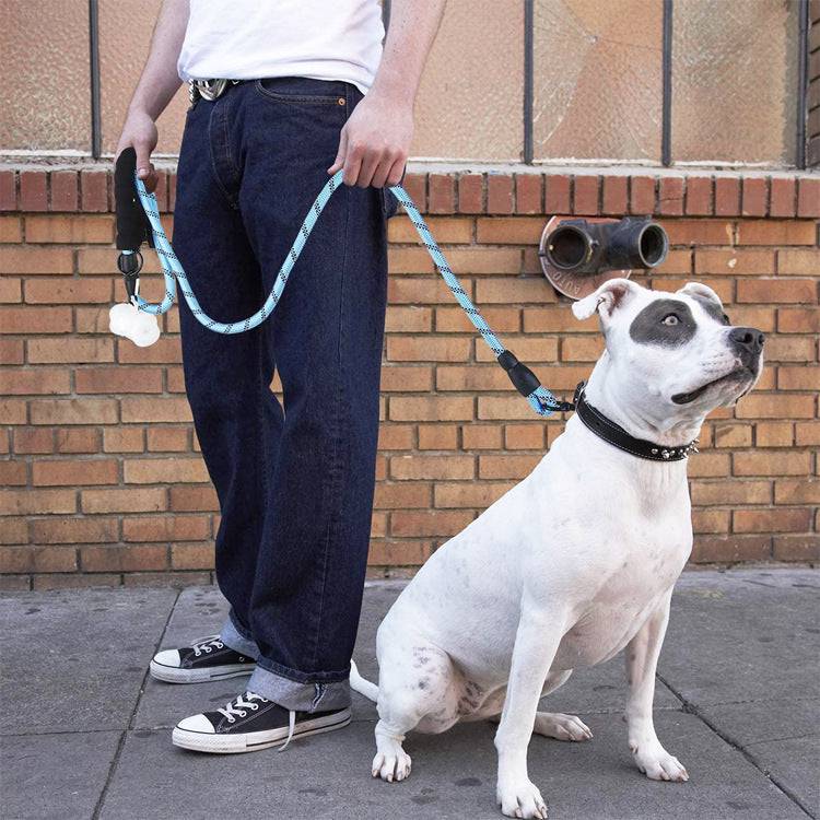 Strong Nylon Reflective Dog Leash - 50% + FREE SHIPPING - Classy Pet Life