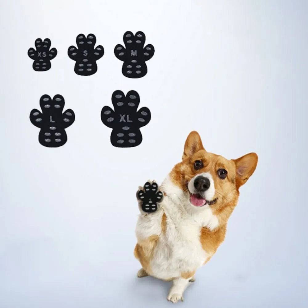 Dog Paw Protectors - FREE TODAY ONLY - Classy Pet Life