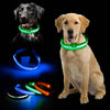 LED Pet Collar - Classy Pet Life