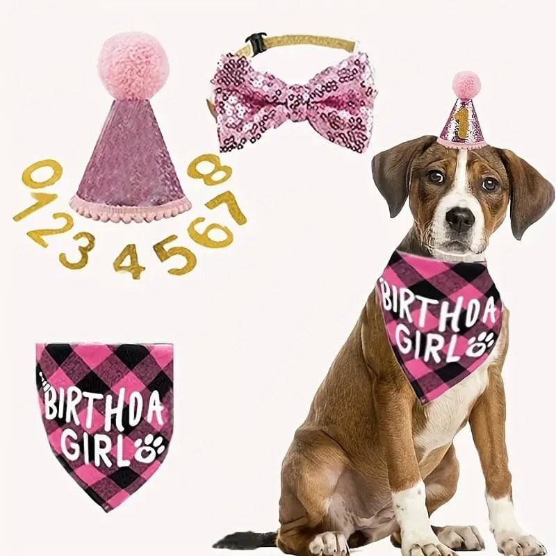 Birthday Outfit - Free Today - Classy Pet Life