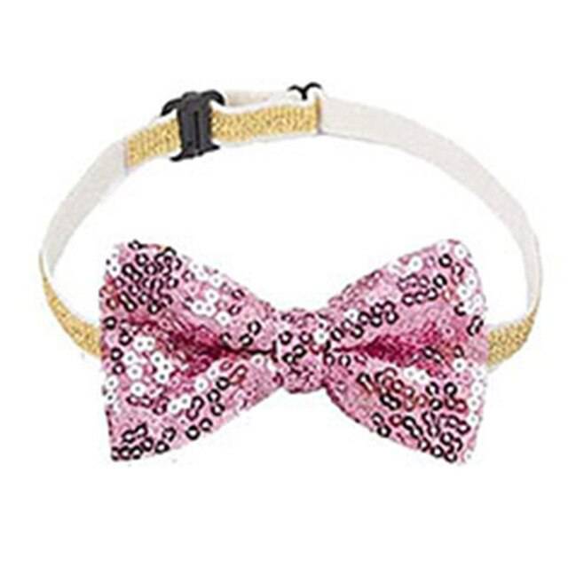 Birthday Outfit - Free Today - Classy Pet Life