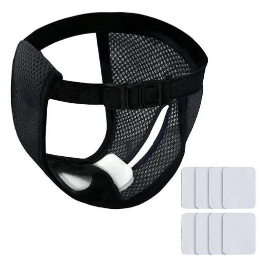 Female Dog Panties-FREE TODAY ONLY - Classy Pet Life