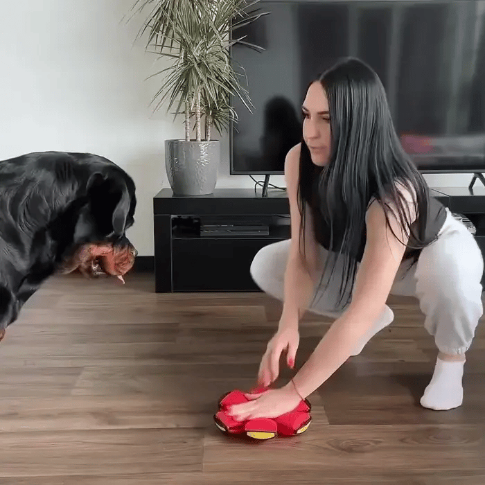 Dog Flying Saucer Ball - FREE TODAY ONLY - Classy Pet Life