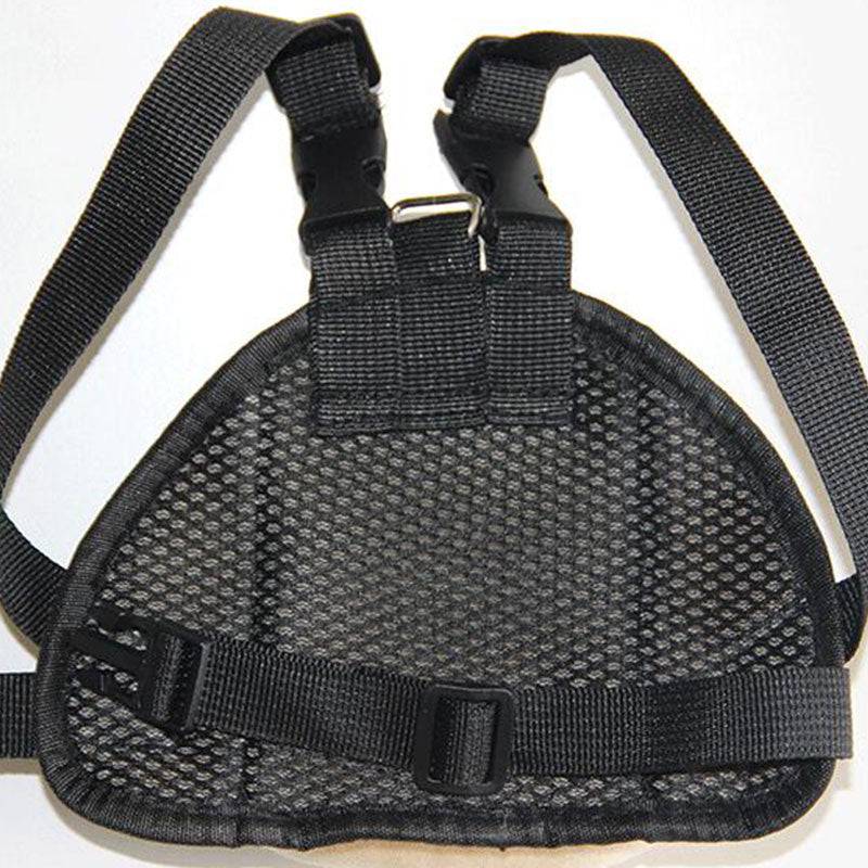 Pet Backpack for Small Medium Dogs - Free Today - Classy Pet Life