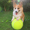 Giant Tennis Ball - FREE TODAY ONLY - Classy Pet Life