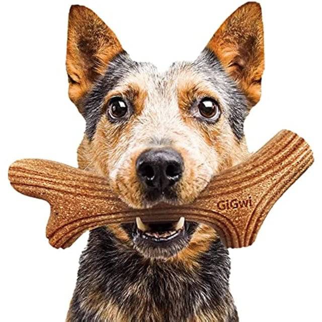 Wooden Dog Chew Toy-FREE TODAY ONLY - Classy Pet Life