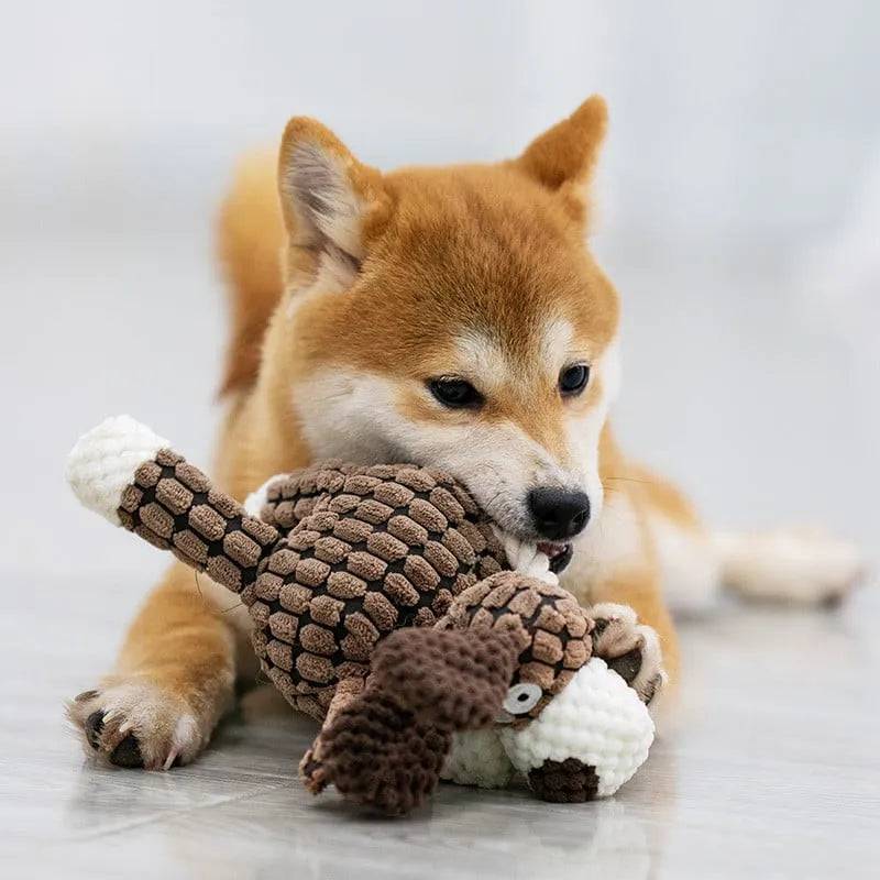 IMMORTAL SQUEAKER PLUSH TOY FOR AGGRESSIVE CHEWERS - Classy Pet Life