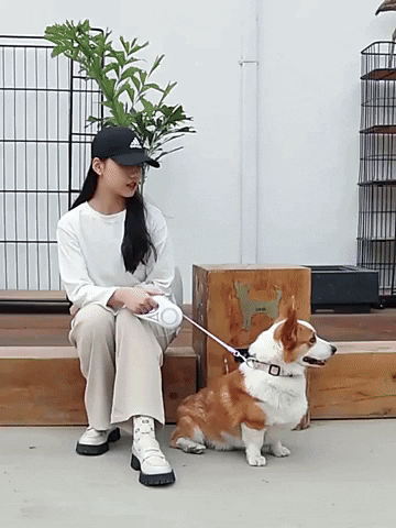 Automatic Retractable Dog Leash™ - FREE SHIPPING - Classy Pet Life