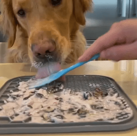 Anxiety-Relieving Interactive Lick Mat for Dogs and Cats - FREE TODAY ONLY - Classy Pet Life