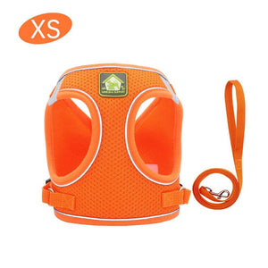 No Pull Reflective & Breathable Dog Harness + Leash - Classy Pet Life