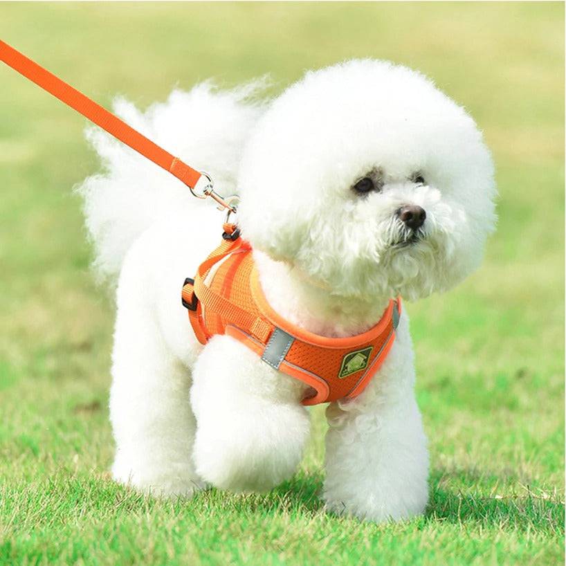 No Pull Reflective & Breathable Dog Harness + Leash - Classy Pet Life