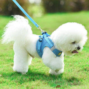 No Pull Reflective & Breathable Dog Harness + Leash - Classy Pet Life