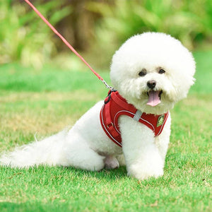 No Pull Reflective & Breathable Dog Harness + Leash - Classy Pet Life