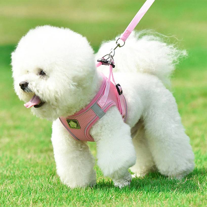 No Pull Reflective & Breathable Dog Harness + Leash - Classy Pet Life