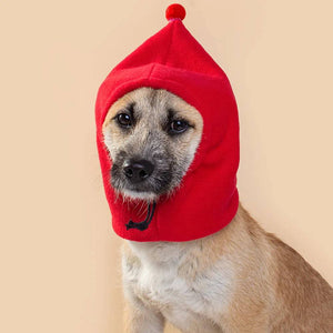 Fleece Dog Snood - FREE TODAY ONLY - Classy Pet Life