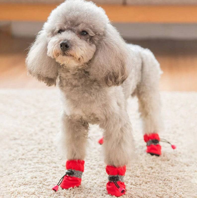Waterproof Protective Dog Shoes - FREE SHIPPING - Classy Pet Life