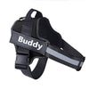 Personalized Breathable Pet Harness - FREE TODAY - Classy Pet Life