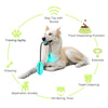 Playbrush Teeth Cleaning Interactive Toy - FREE TODAY - Classy Pet Life
