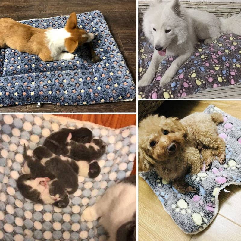 Soothing Pet Blanket/ Bed - FREE SHIPPING - Classy Pet Life