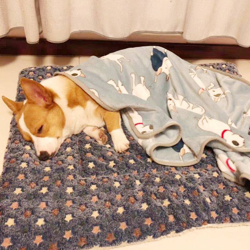 Soothing Pet Blanket/ Bed - FREE SHIPPING - Classy Pet Life