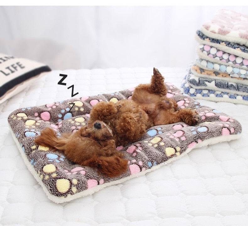 Soothing Pet Blanket/ Bed - FREE SHIPPING - Classy Pet Life