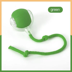 PawBall™ Interactive Pet Motion Ball