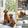 🐾 MuddyMats™ Pet Absorbent Floor Mat – 50% OFF + FREE Shipping Today Only