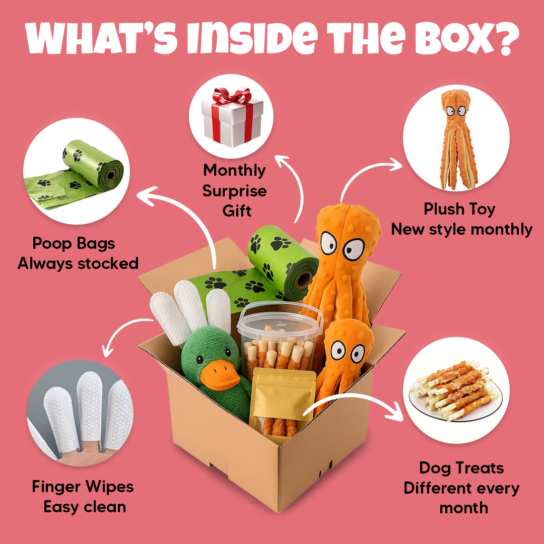 Classy Pet Club – Monthly Dog Subscription Box - Classy Pet Life