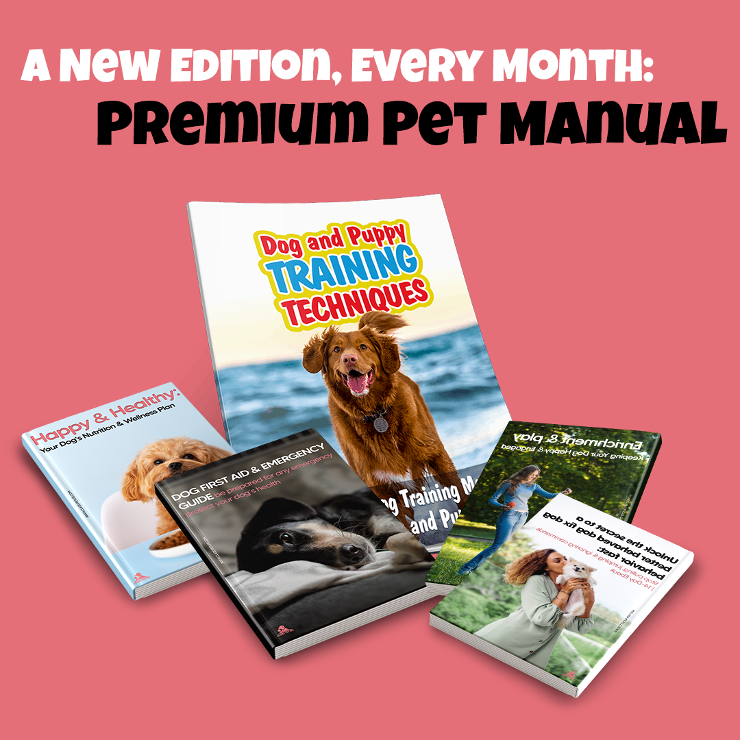 Classy Pet Club – Monthly Dog Subscription Box - Classy Pet Life
