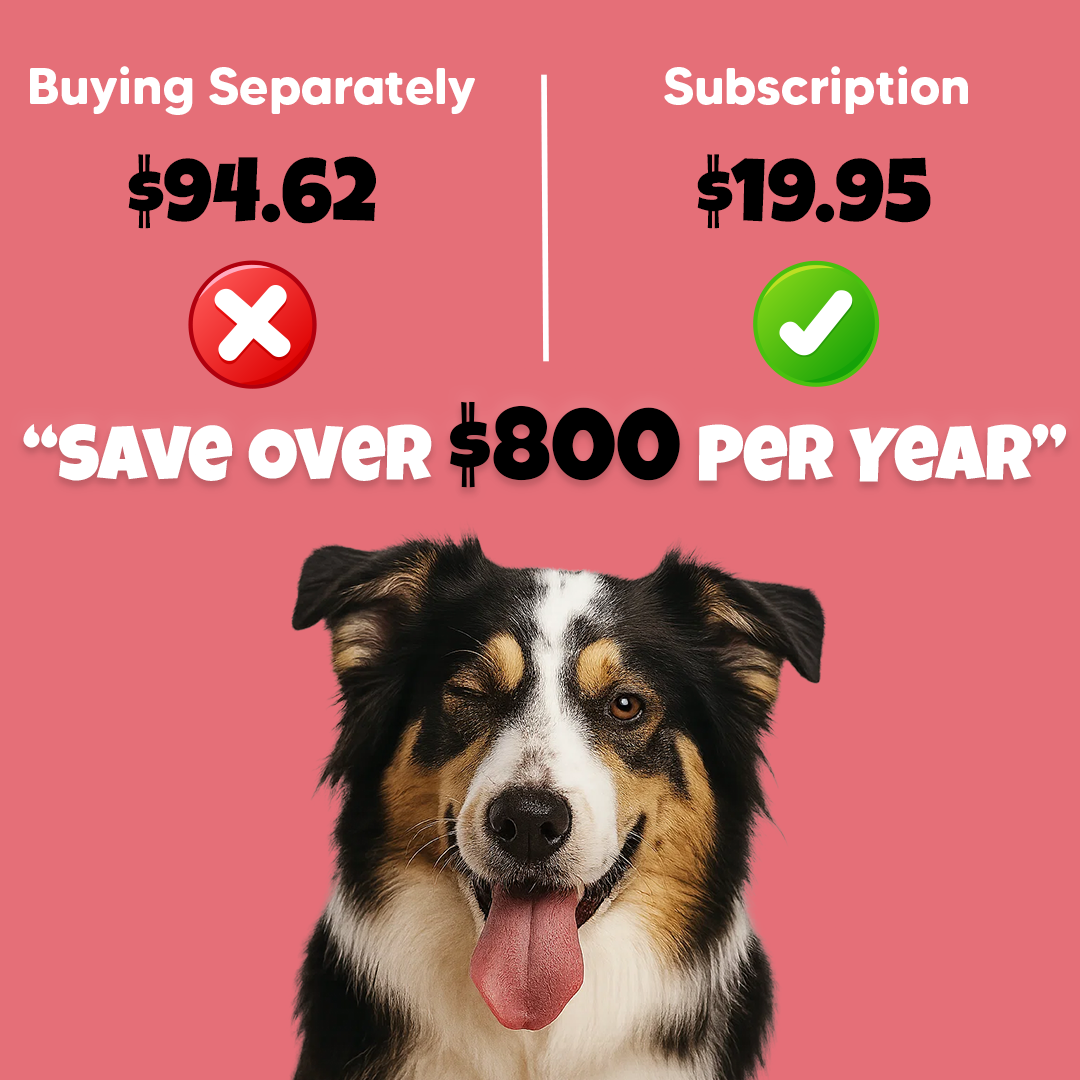 Classy Pet Club – Monthly Dog Subscription Box - Classy Pet Life
