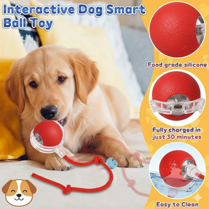 PawBall™ Interactive Pet Motion Ball