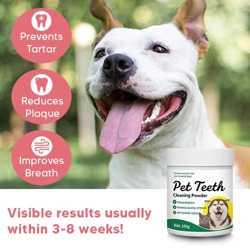 Fresh Smile Powder - FREE TODAY ONLY