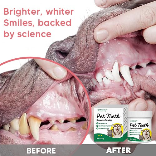 Fresh Smile Powder - FREE TODAY ONLY