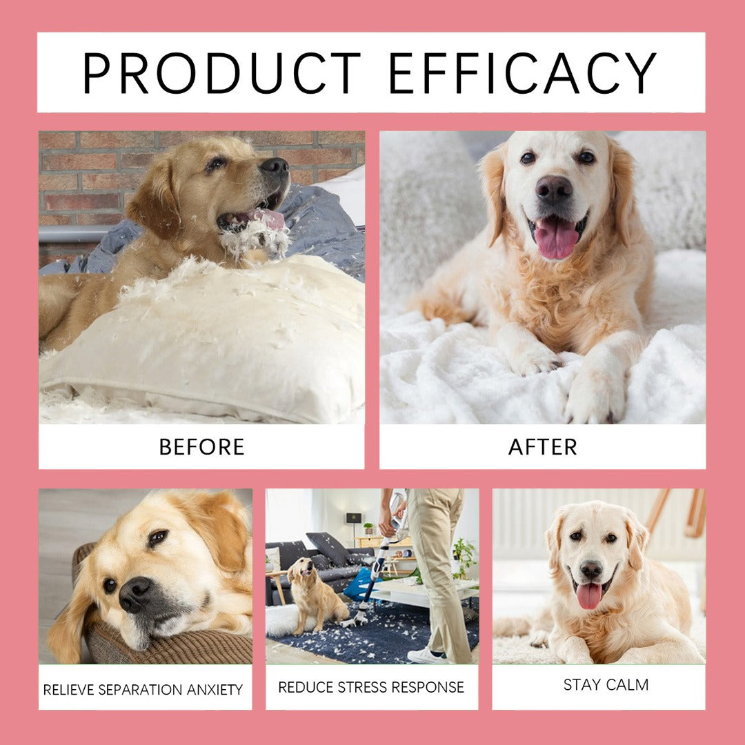 CalmEase™ Pet Calming Diffuser Kit – FREE Today Only