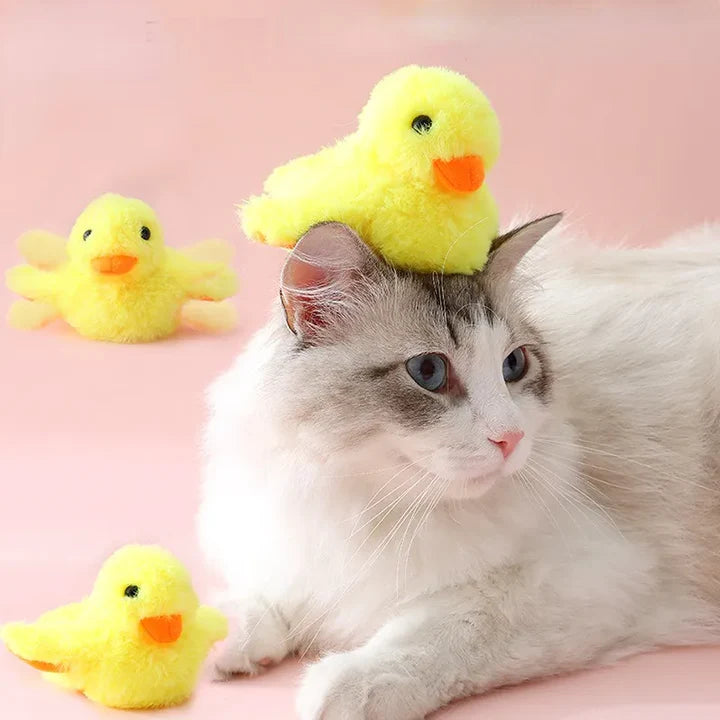 Interactive duck cat toy - FREE SHIPPING - Classy Pet Life