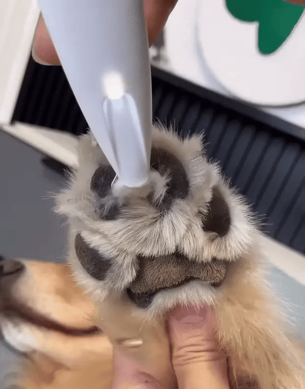 🐶 FurGroom™ Electric Pet Fur Trimmer – 50% OFF + FREE Shipping Today Only