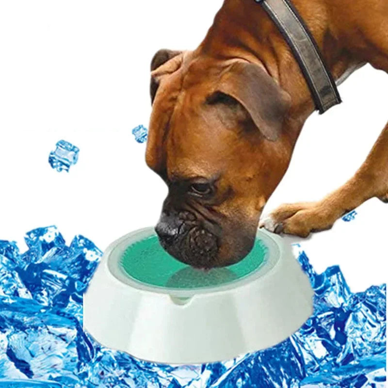 Cooling Pet Bowl - FREE SHIPPING - Classy Pet Life