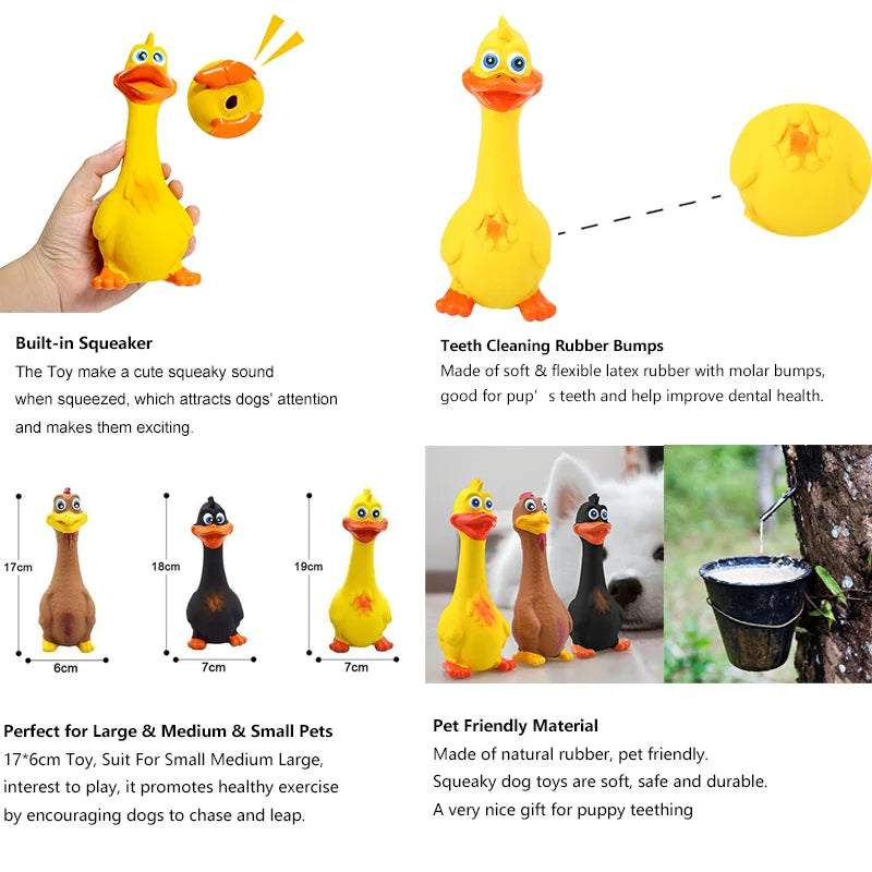 Squeaky Dog Rubber Immortal Toys - Classy Pet Life