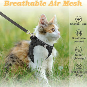 🐾 ClassyPetLife™ Escape-Proof Breathable Cat Harness & Leash – FREE Today Only - Classy Pet Life