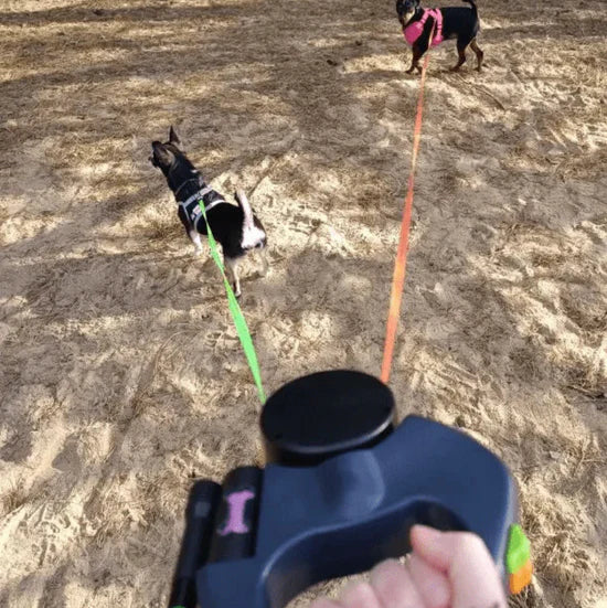 3-in-1 Dual Retractable Dog Leash-FREE SHIPPING