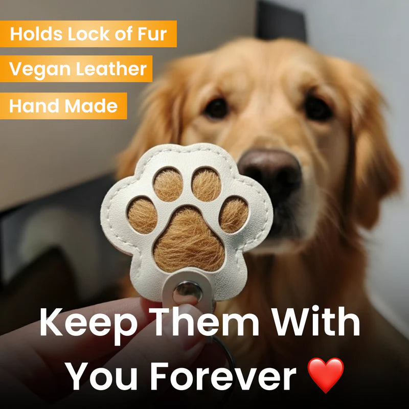 FurEverKeeps™ Paw Print Pet Hair Keepsake Keychain – FREE Today Only