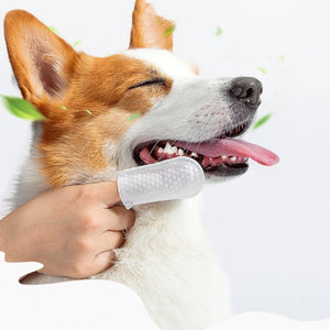 FreshWipes™ Pet Oral & Grooming Kit - FREE Today Only - Classy Pet Life