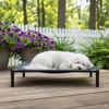 Elevated Pet Bed-FREE SHIPPING